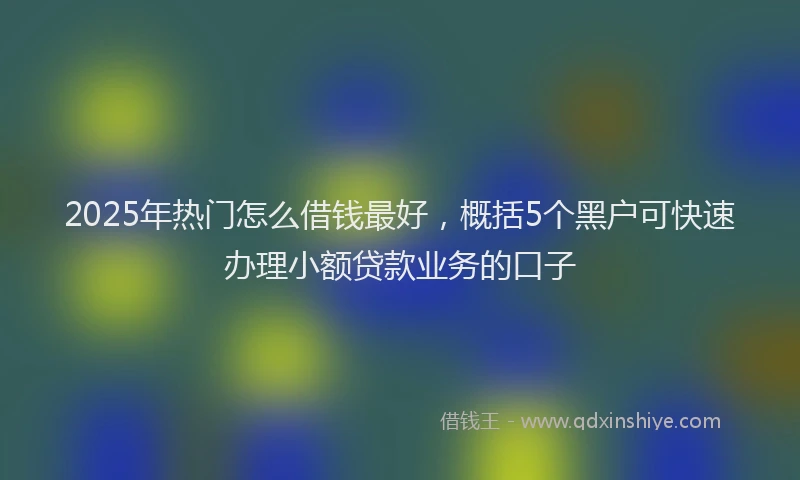 2025年热门怎么借钱最好，概括5个黑户可快速办理小额贷款业务的口子