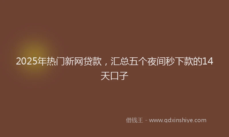 2025年热门新网贷款，汇总五个夜间秒下款的14天口子