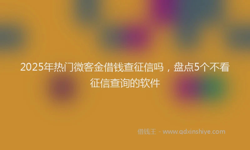 2025年热门微客金借钱查征信吗，盘点5个不看征信查询的软件