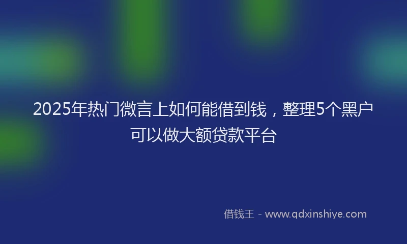 2025年热门微言上如何能借到钱，整理5个黑户可以做大额贷款平台
