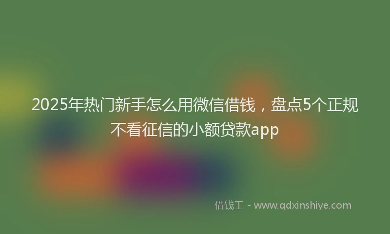 2025年热门新手怎么用微信借钱，盘点5个正规不看征信的小额贷款app