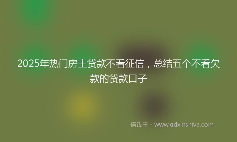 2025年热门房主贷款不看征信，总结五个不看欠款的贷款口子