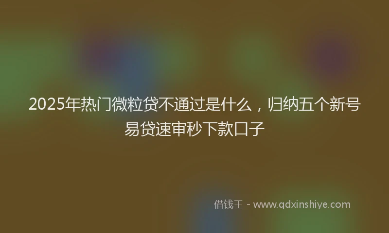 2025年热门微粒贷不通过是什么，归纳五个新号易贷速审秒下款口子