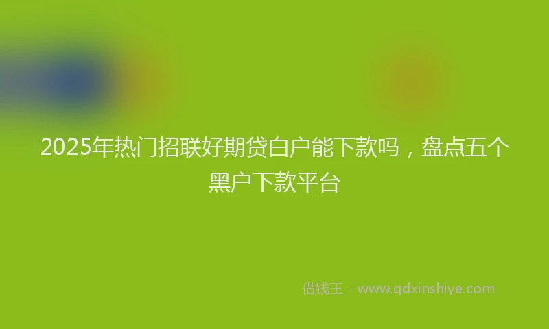 2025年热门招联好期贷白户能下款吗，盘点五个黑户下款平台