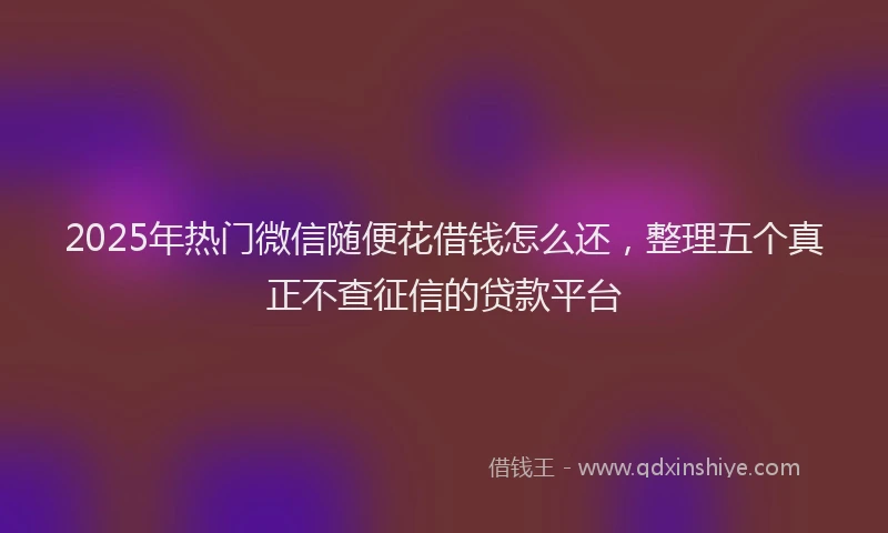 2025年热门微信随便花借钱怎么还，整理五个真正不查征信的贷款平台
