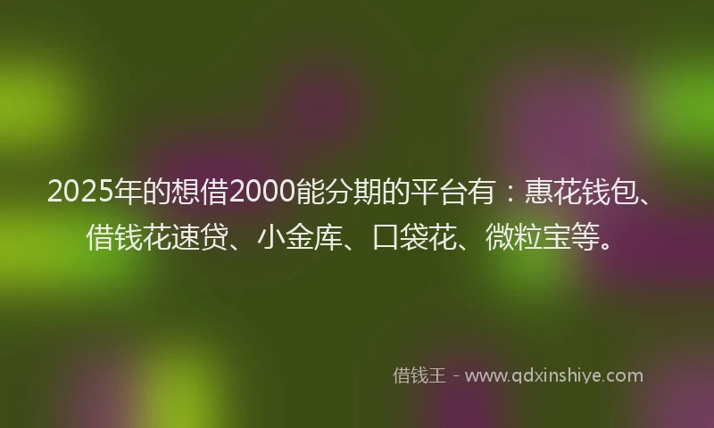 2025年的想借2000能分期的平台有：惠花钱包、借钱花速贷、小金库、口袋花、微粒宝等。