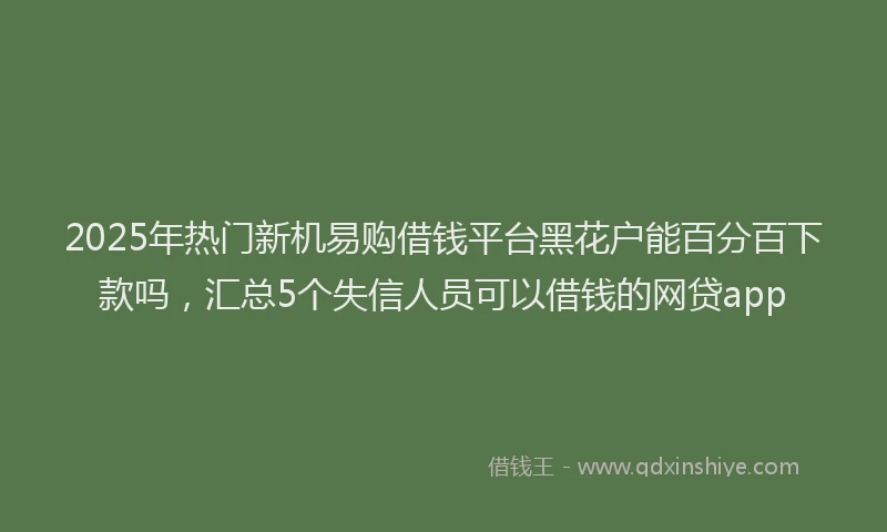 2025年热门新机易购借钱平台黑花户能百分百下款吗，汇总5个失信人员可以借钱的网贷app