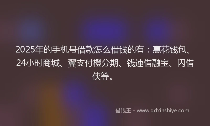2025年的手机号借款怎么借钱的有：惠花钱包、24小时商城、翼支付橙分期、钱速借融宝、闪借侠等。