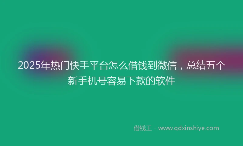 2025年热门快手平台怎么借钱到微信，总结五个新手机号容易下款的软件