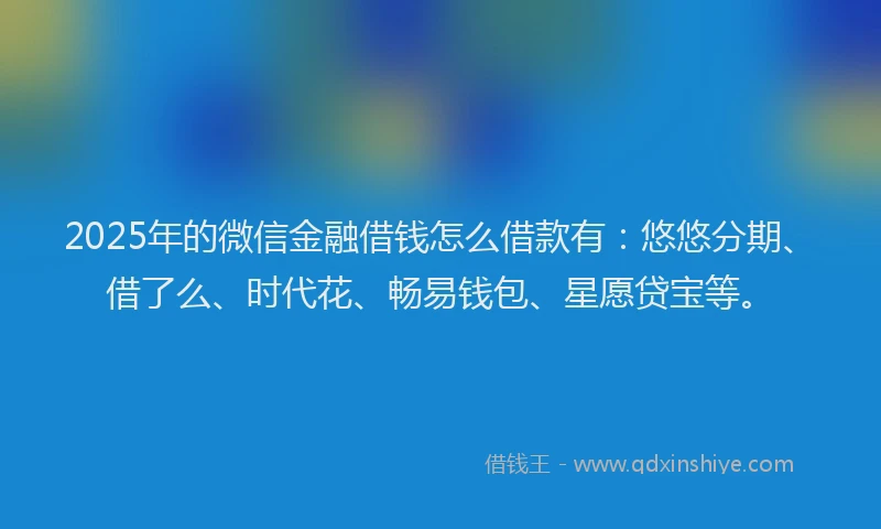 2025年的微信金融借钱怎么借款有：悠悠分期、借了么、时代花、畅易钱包、星愿贷宝等。
