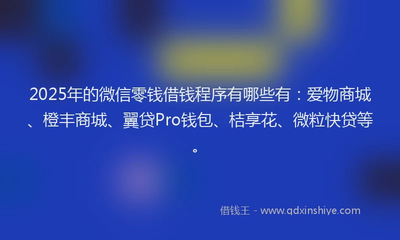 2025年的微信零钱借钱程序有哪些有：爱物商城、橙丰商城、翼贷Pro钱包、桔享花、微粒快贷等。