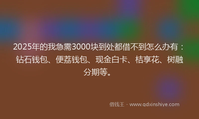 2025年的我急需3000块到处都借不到怎么办有：钻石钱包、便荔钱包、现金白卡、桔享花、树融分期等。
