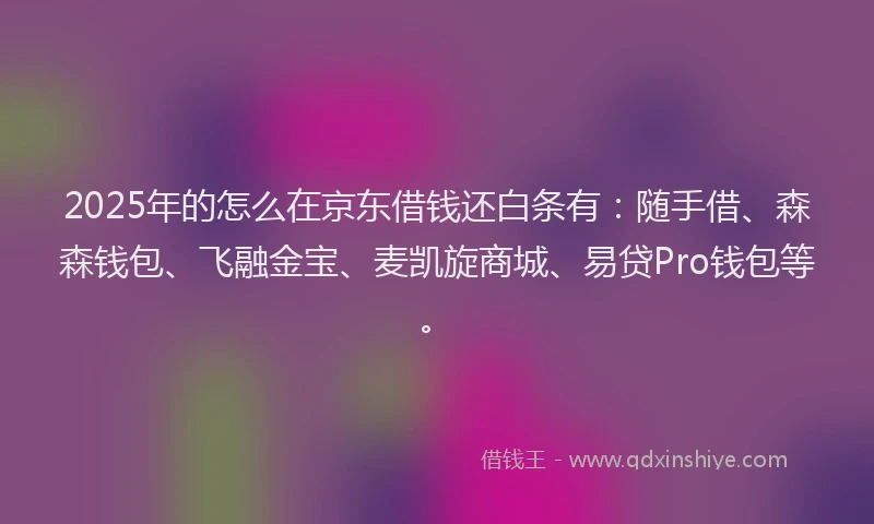 2025年的怎么在京东借钱还白条有：随手借、森森钱包、飞融金宝、麦凯旋商城、易贷Pro钱包等。