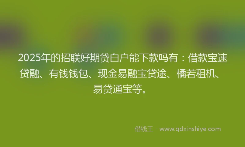 2025年的招联好期贷白户能下款吗有：借款宝速贷融、有钱钱包、现金易融宝贷途、橘若租机、易贷通宝等。
