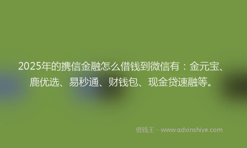 2025年的携信金融怎么借钱到微信有：金元宝、鹿优选、易秒通、财钱包、现金贷速融等。