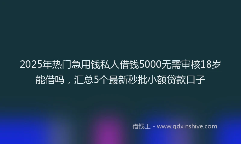 2025年热门急用钱私人借钱5000无需审核18岁能借吗，汇总5个最新秒批小额贷款口子