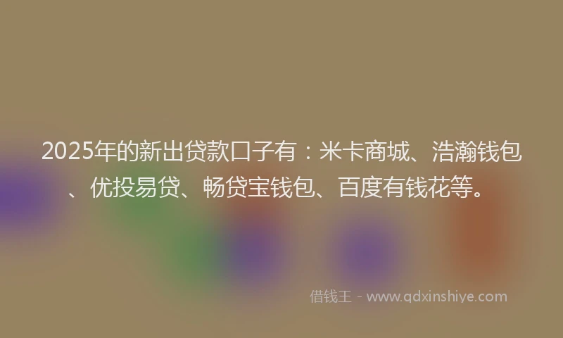 2025年的新出贷款口子有：米卡商城、浩瀚钱包、优投易贷、畅贷宝钱包、百度有钱花等。