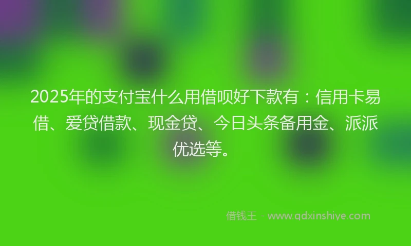 2025年的支付宝什么用借呗好下款有：信用卡易借、爱贷借款、现金贷、今日头条备用金、派派优选等。