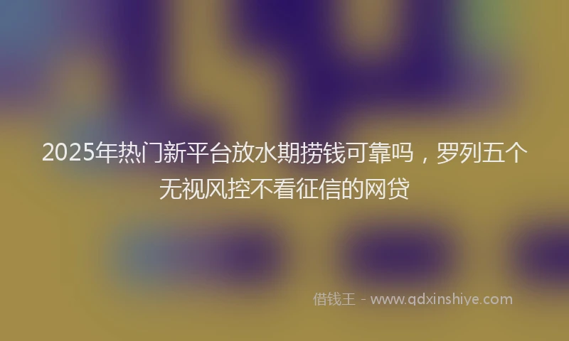 2025年热门新平台放水期捞钱可靠吗，罗列五个无视风控不看征信的网贷