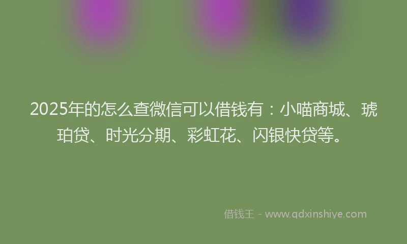 2025年的怎么查微信可以借钱有：小喵商城、琥珀贷、时光分期、彩虹花、闪银快贷等。