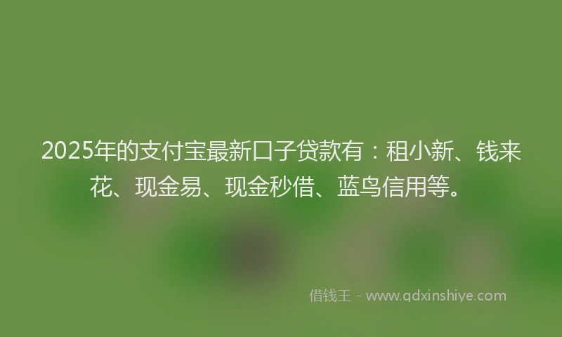 2025年的支付宝最新口子贷款有：租小新、钱来花、现金易、现金秒借、蓝鸟信用等。