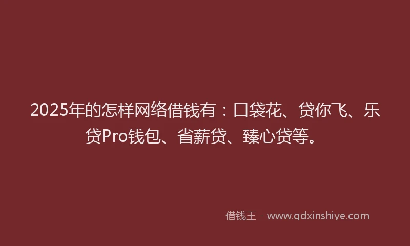2025年的怎样网络借钱有：口袋花、贷你飞、乐贷Pro钱包、省薪贷、臻心贷等。