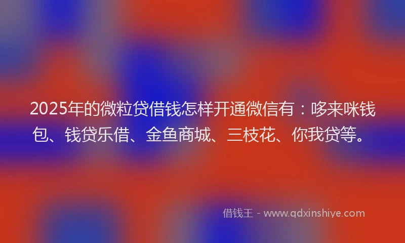 2025年的微粒贷借钱怎样开通微信有：哆来咪钱包、钱贷乐借、金鱼商城、三枝花、你我贷等。