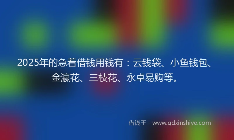 2025年的急着借钱用钱有：云钱袋、小鱼钱包、金瀛花、三枝花、永卓易购等。