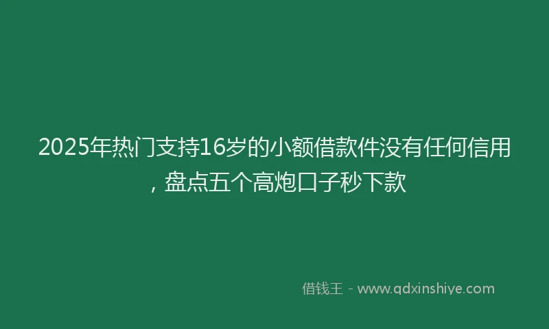 2025年热门支持16岁的小额借款件没有任何信用，盘点五个高炮口子秒下款