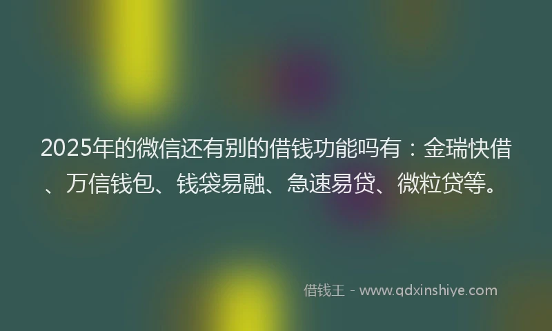 2025年的微信还有别的借钱功能吗有：金瑞快借、万信钱包、钱袋易融、急速易贷、微粒贷等。