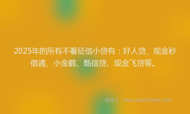 2025年的所有不看征信小贷有：好人贷、现金秒借通、小金鹤、甄信贷、现金飞贷等。
