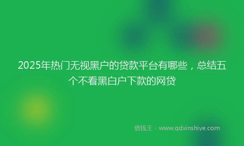 2025年热门无视黑户的贷款平台有哪些，总结五个不看黑白户下款的网贷