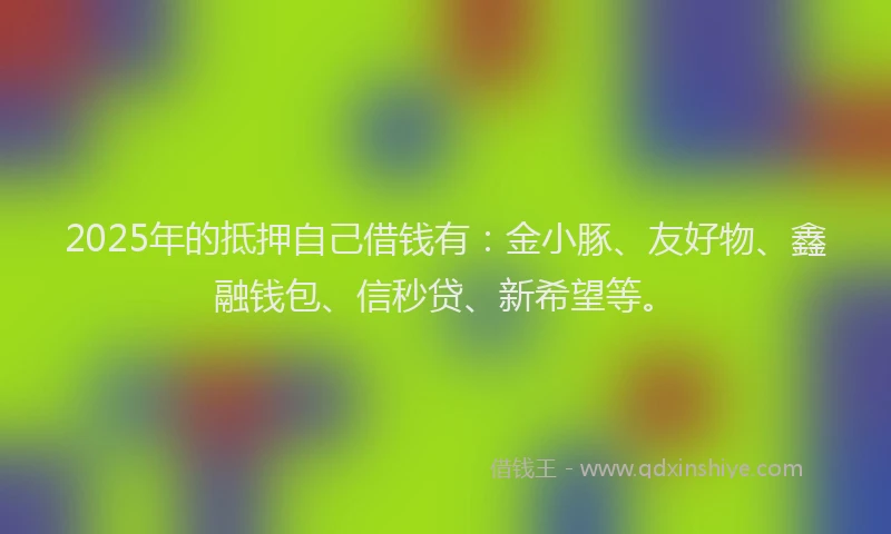 2025年的抵押自己借钱有：金小豚、友好物、鑫融钱包、信秒贷、新希望等。