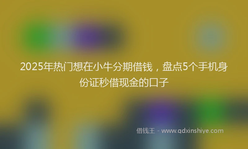 2025年热门想在小牛分期借钱，盘点5个手机身份证秒借现金的口子