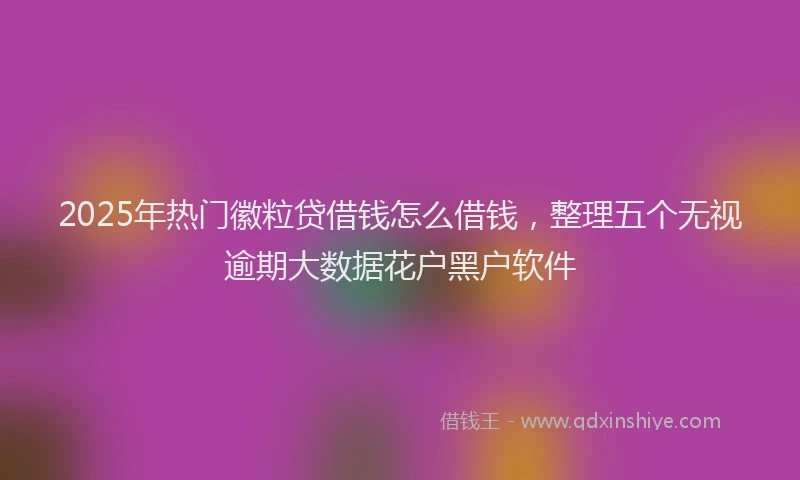 2025年热门徽粒贷借钱怎么借钱，整理五个无视逾期大数据花户黑户软件