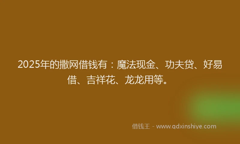 2025年的撒网借钱有：魔法现金、功夫贷、好易借、吉祥花、龙龙用等。