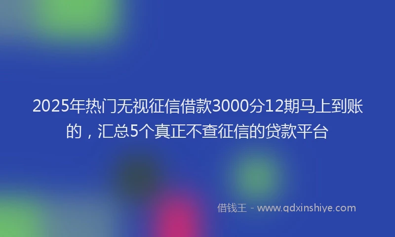 2025年热门无视征信借款3000分12期马上到账的，汇总5个真正不查征信的贷款平台