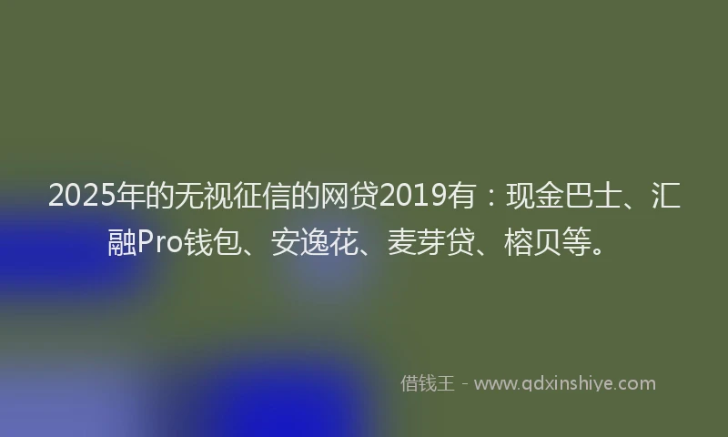 2025年的无视征信的网贷2019有：现金巴士、汇融Pro钱包、安逸花、麦芽贷、榕贝等。