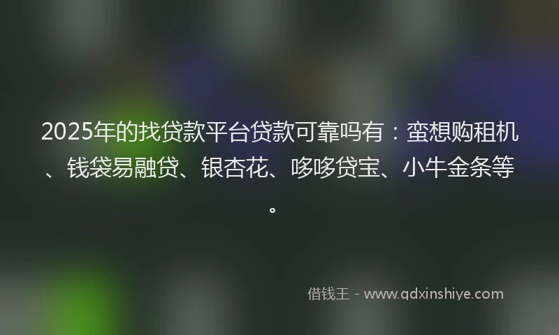 2025年的找贷款平台贷款可靠吗有：蛮想购租机、钱袋易融贷、银杏花、哆哆贷宝、小牛金条等。