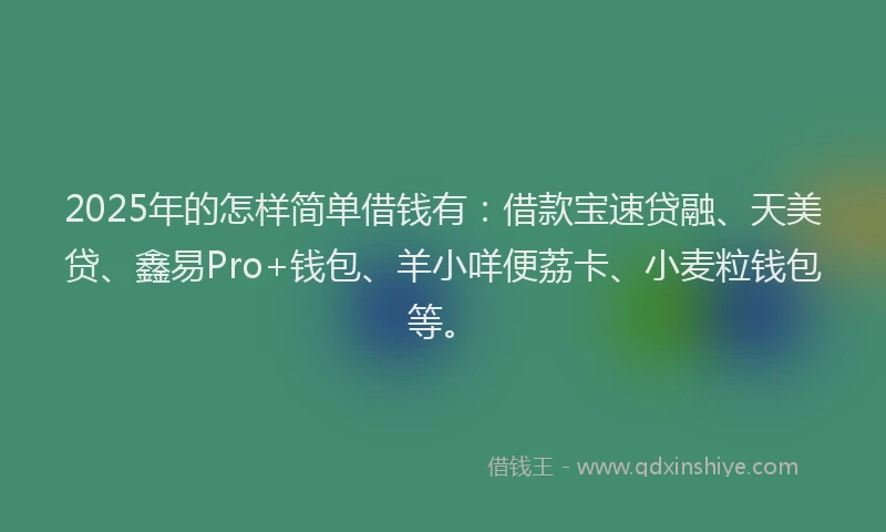 2025年的怎样简单借钱有：借款宝速贷融、天美贷、鑫易Pro+钱包、羊小咩便荔卡、小麦粒钱包等。