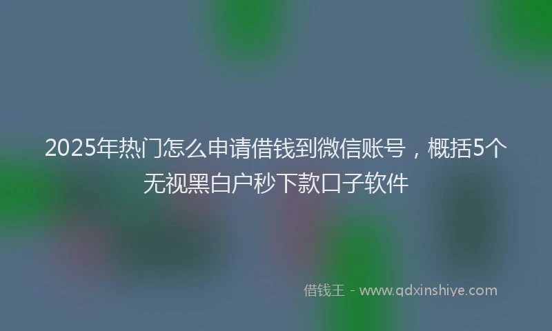 2025年热门怎么申请借钱到微信账号，概括5个无视黑白户秒下款口子软件