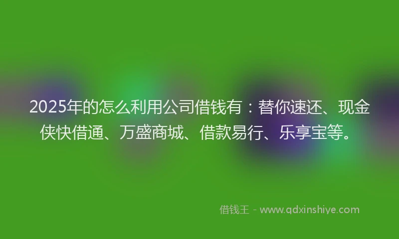 2025年的怎么利用公司借钱有：替你速还、现金侠快借通、万盛商城、借款易行、乐享宝等。