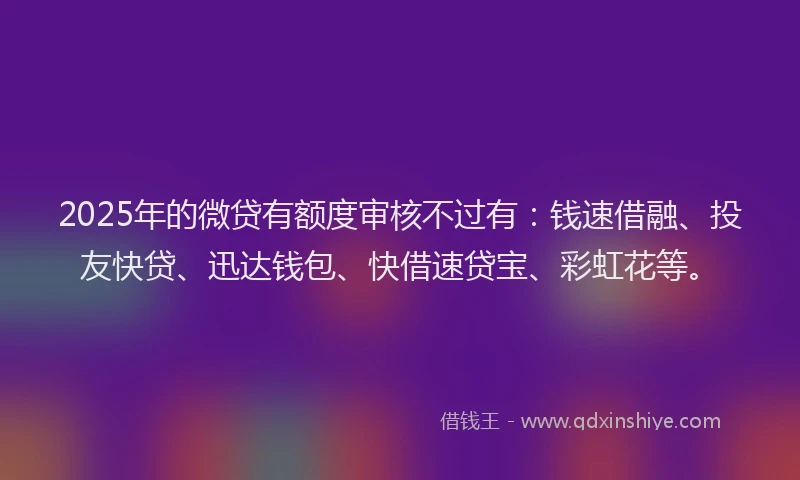 2025年的微贷有额度审核不过有：钱速借融、投友快贷、迅达钱包、快借速贷宝、彩虹花等。