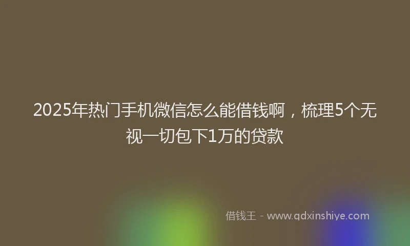 2025年热门手机微信怎么能借钱啊，梳理5个无视一切包下1万的贷款