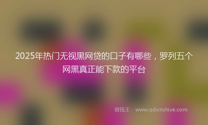 2025年热门无视黑网贷的口子有哪些，罗列五个网黑真正能下款的平台