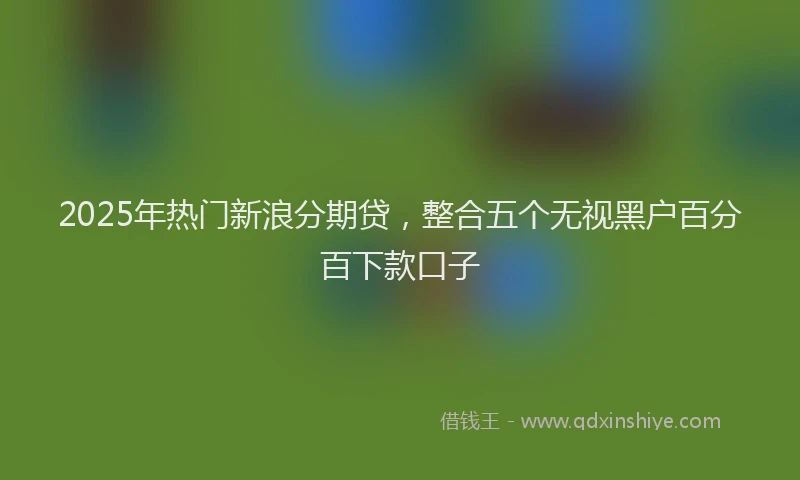 2025年热门新浪分期贷，整合五个无视黑户百分百下款口子