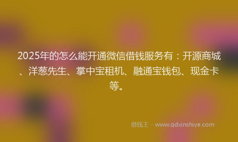 2025年的怎么能开通微信借钱服务有：开源商城、洋葱先生、掌中宝租机、融通宝钱包、现金卡等。