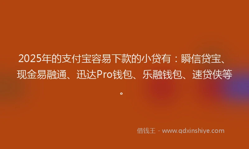 2025年的支付宝容易下款的小贷有：瞬信贷宝、现金易融通、迅达Pro钱包、乐融钱包、速贷侠等。
