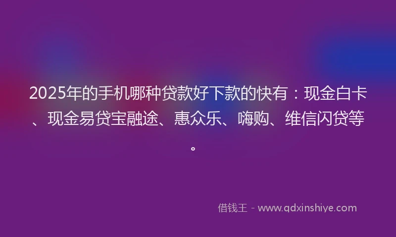 2025年的手机哪种贷款好下款的快有：现金白卡、现金易贷宝融途、惠众乐、嗨购、维信闪贷等。