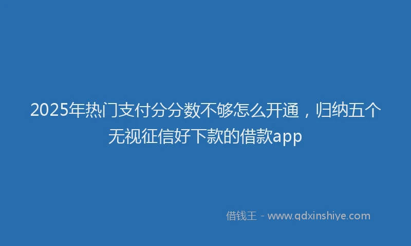 2025年热门支付分分数不够怎么开通，归纳五个无视征信好下款的借款app